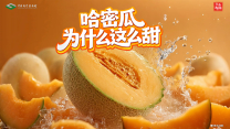 太阳城娱乐