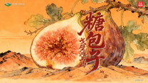 太阳城娱乐
