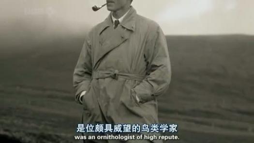 太阳城娱乐