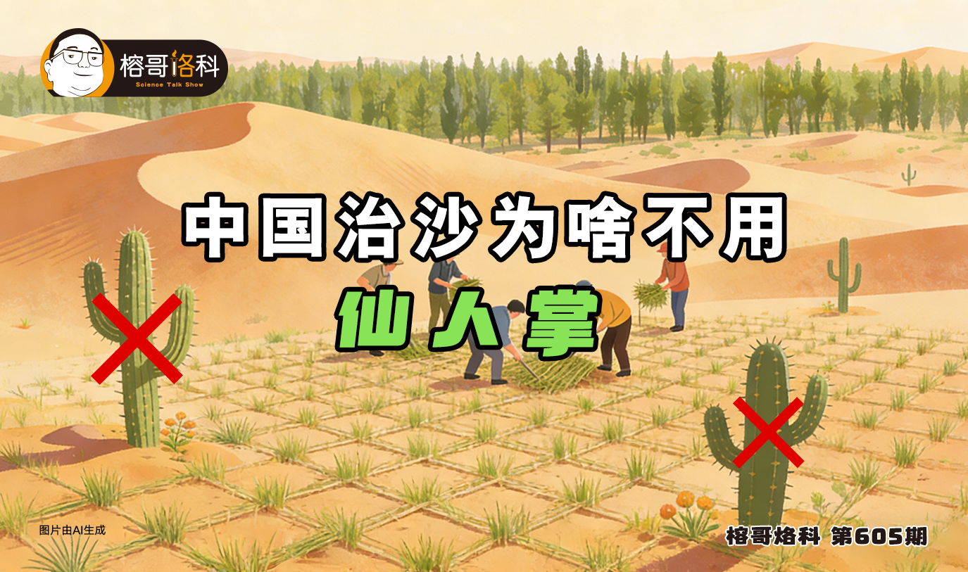 太阳城娱乐