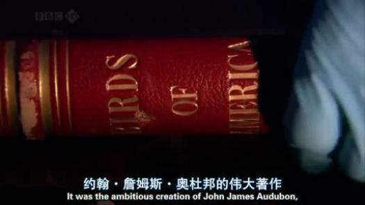 太阳城娱乐