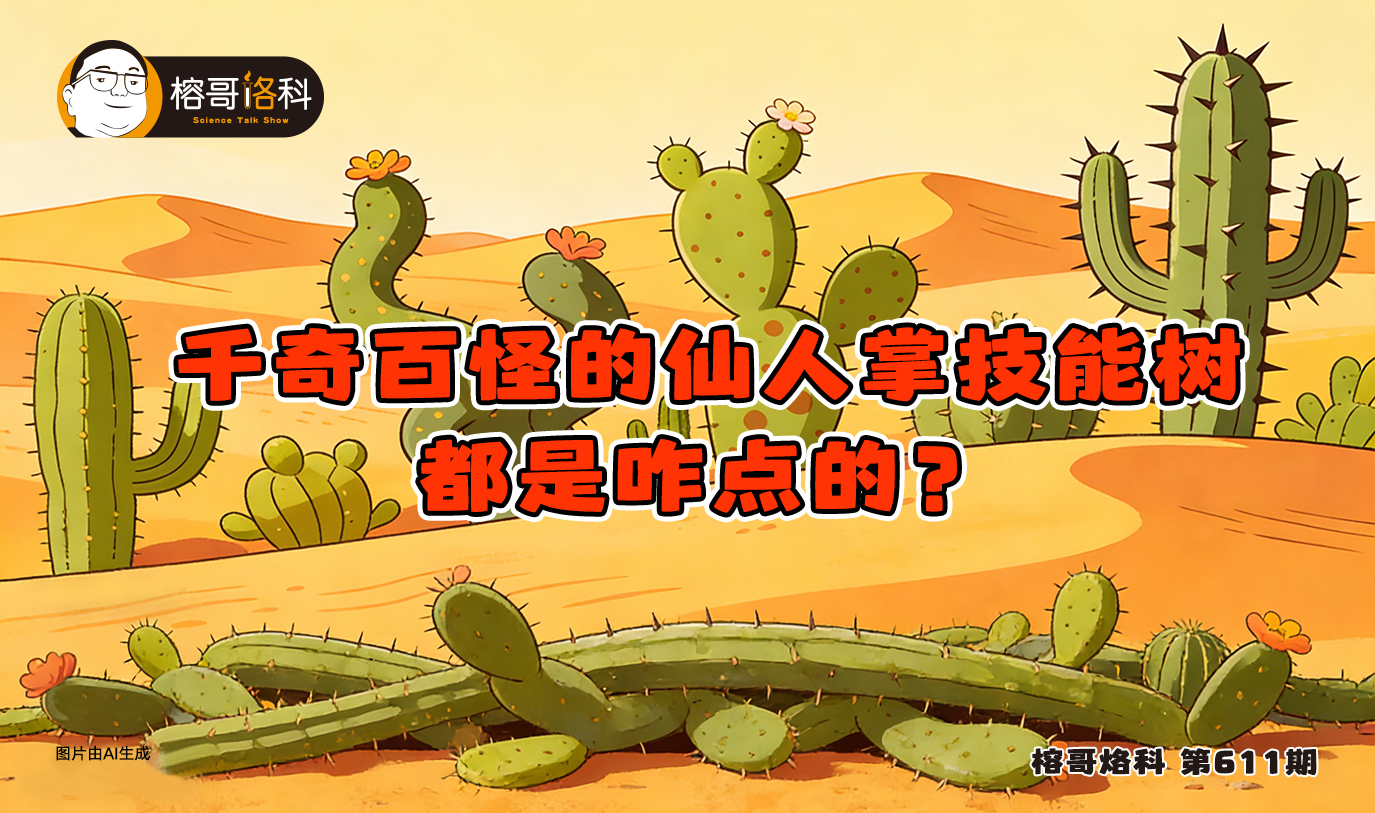 太阳城娱乐
