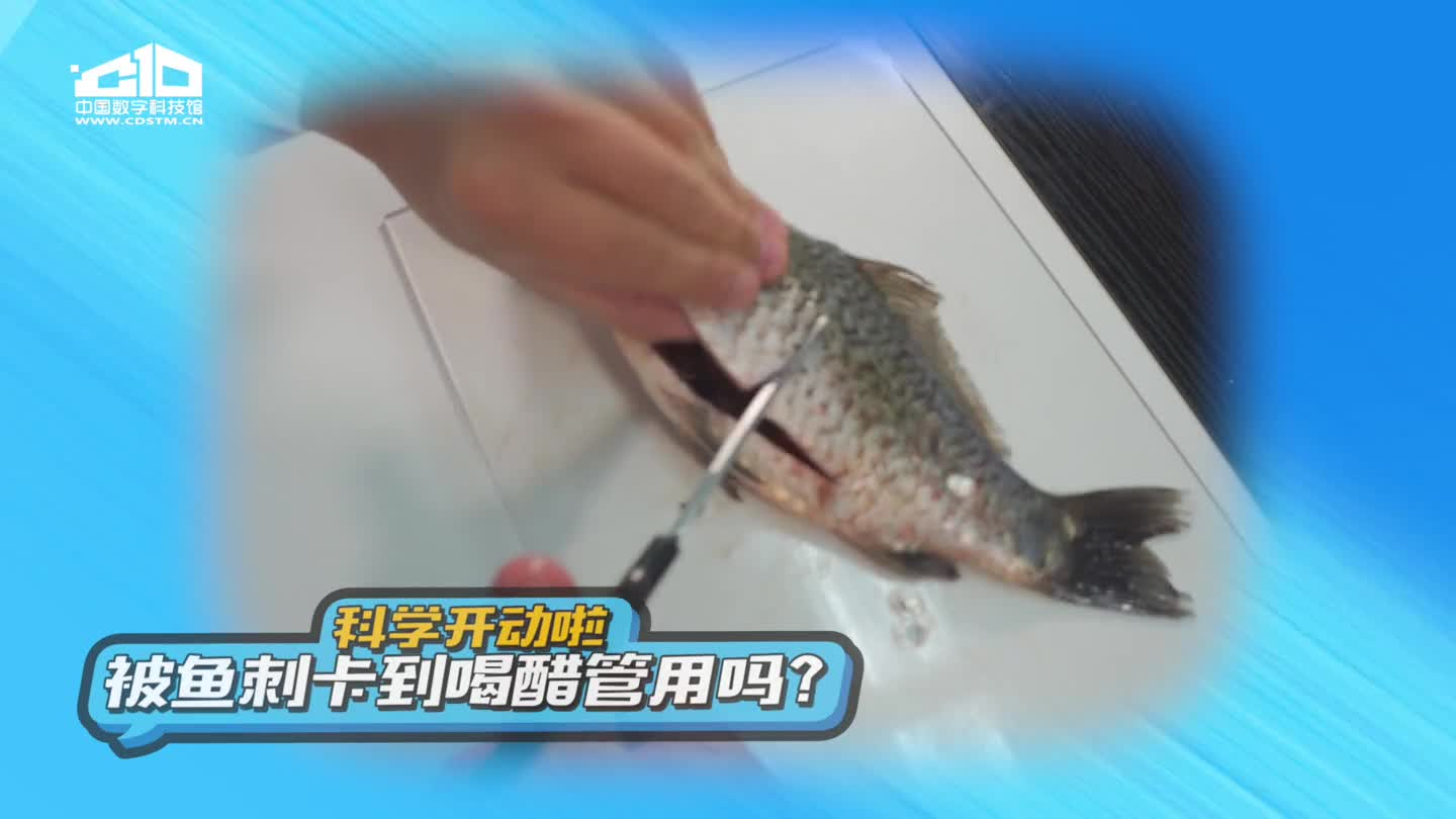 太阳城娱乐