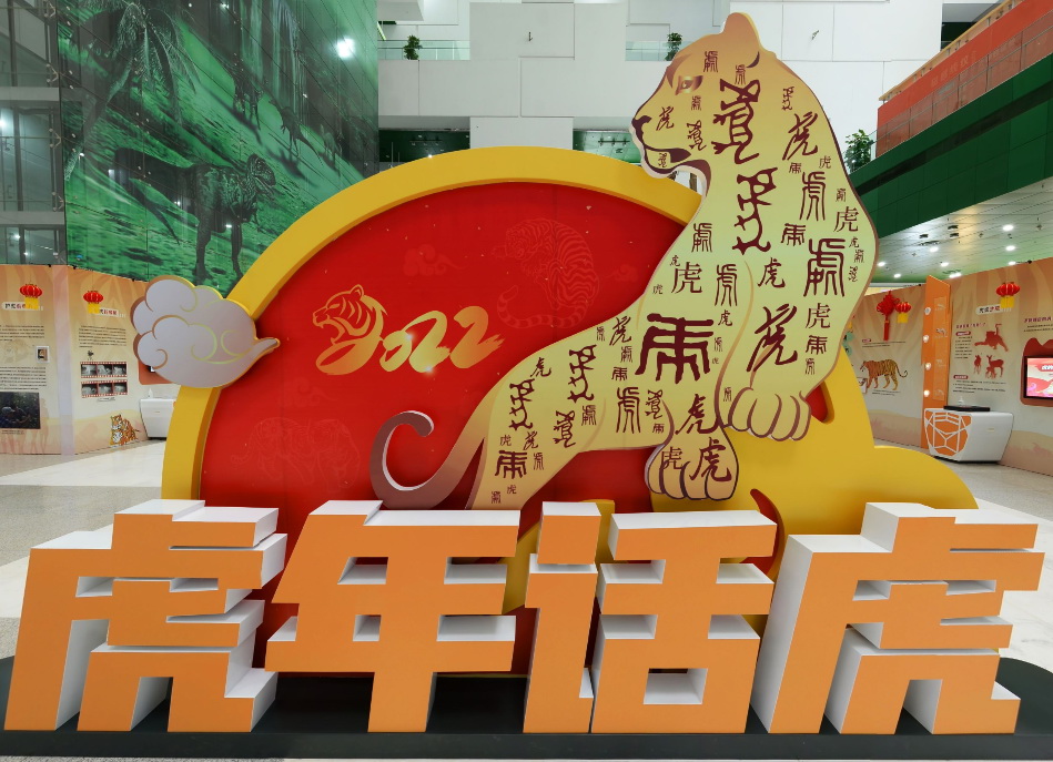 太阳城娱乐
