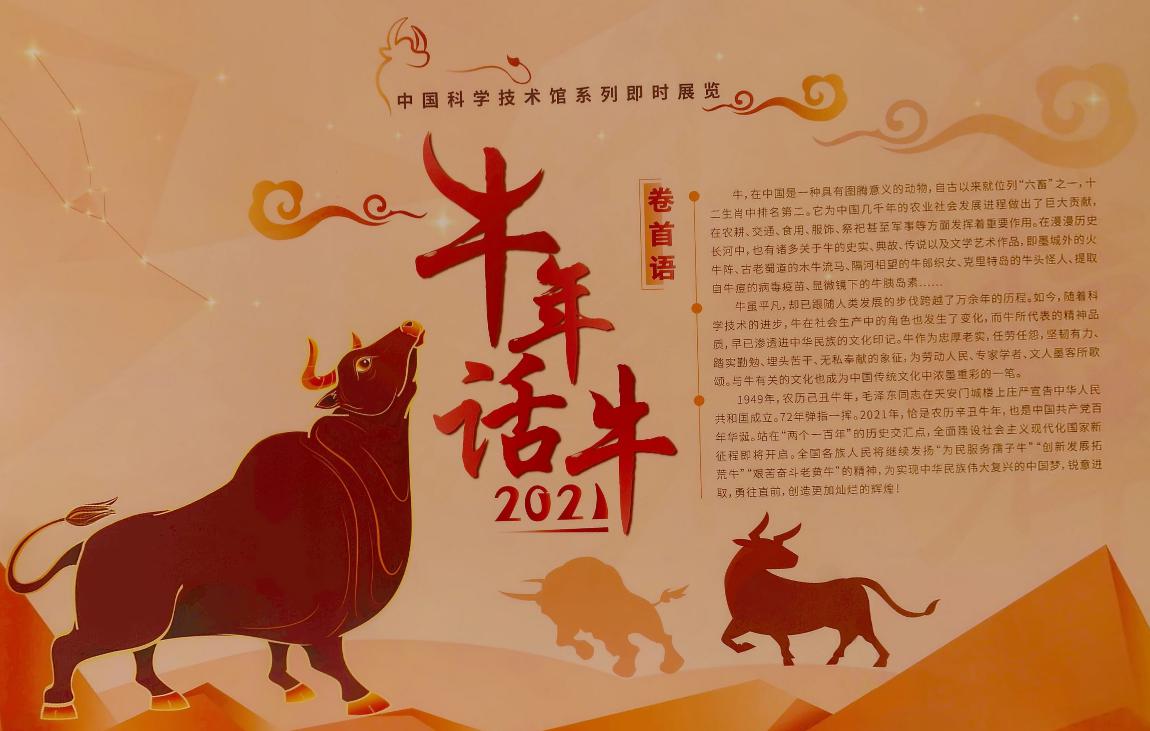 太阳城娱乐