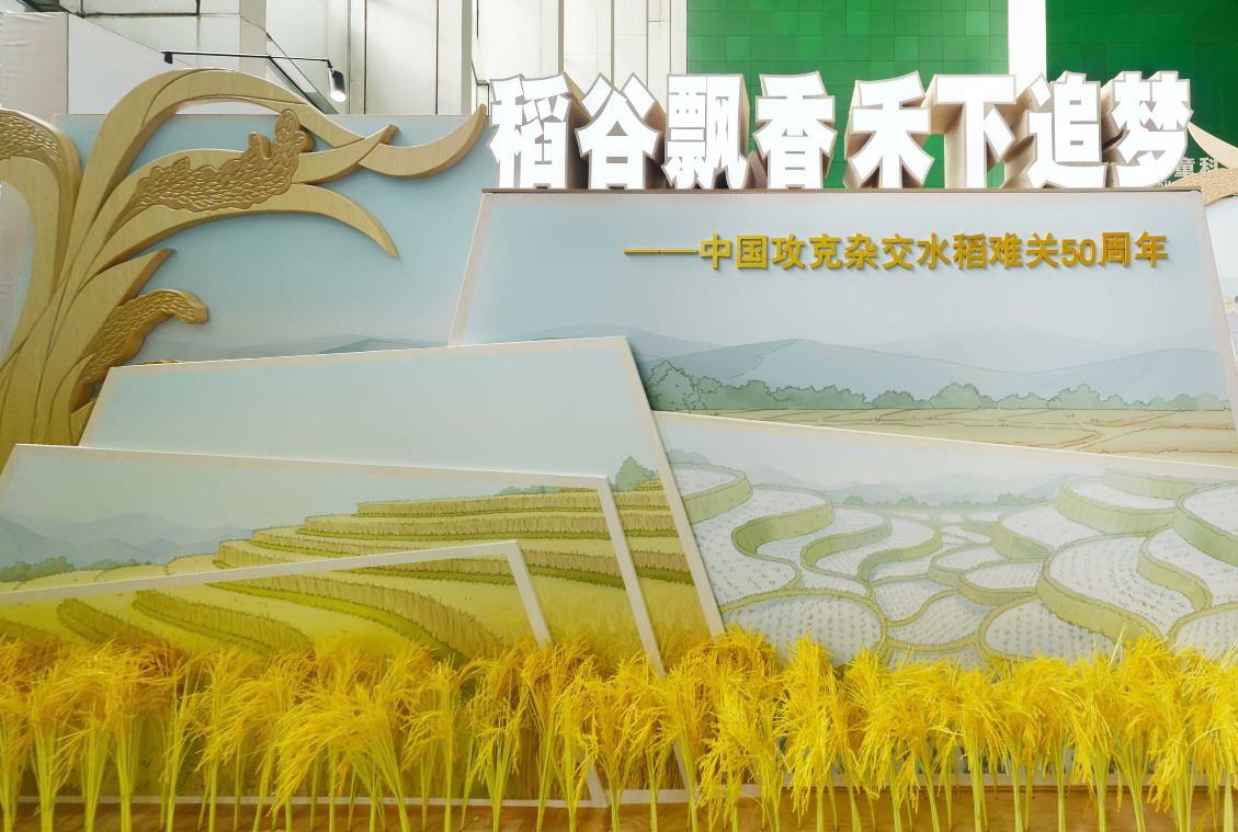 太阳城娱乐