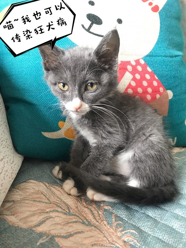 太阳城娱乐