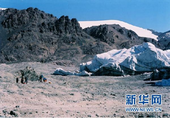 人工合成淀粉,什么是人工合成淀粉,人工合成淀粉的实验过程