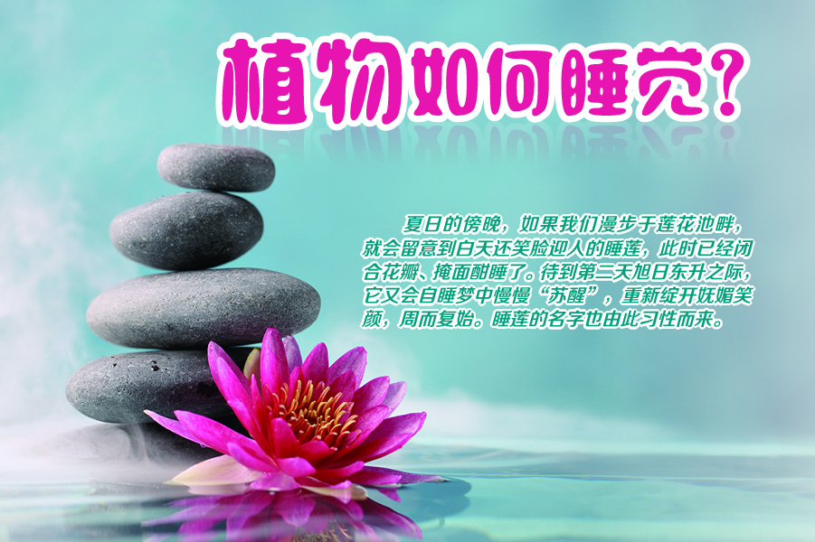 太阳城娱乐