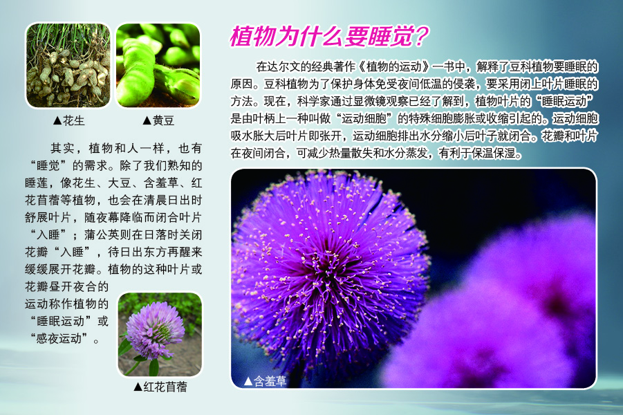 太阳城娱乐