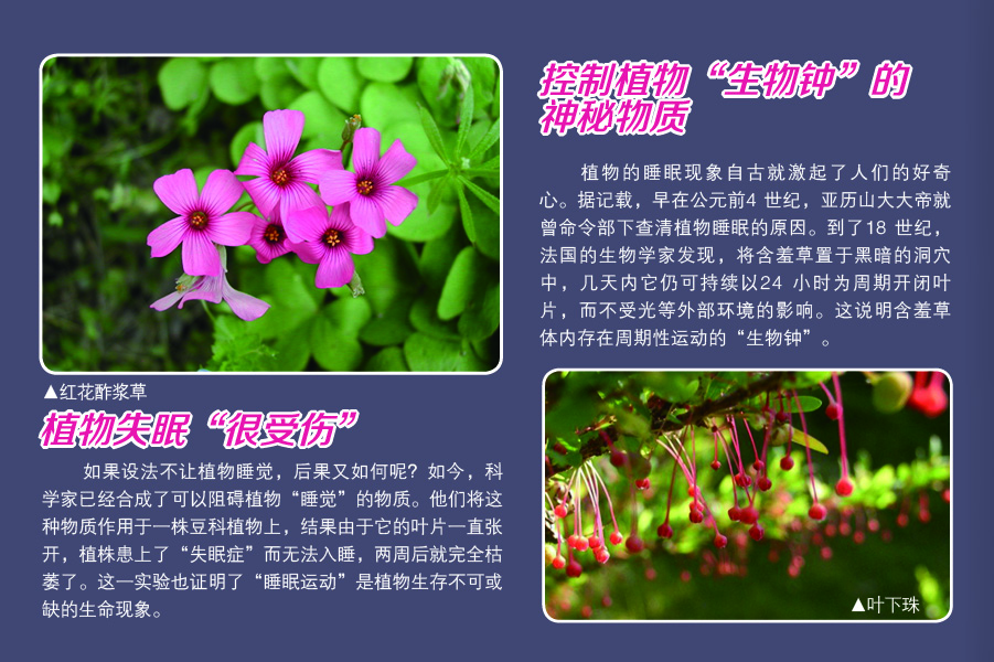 太阳城娱乐