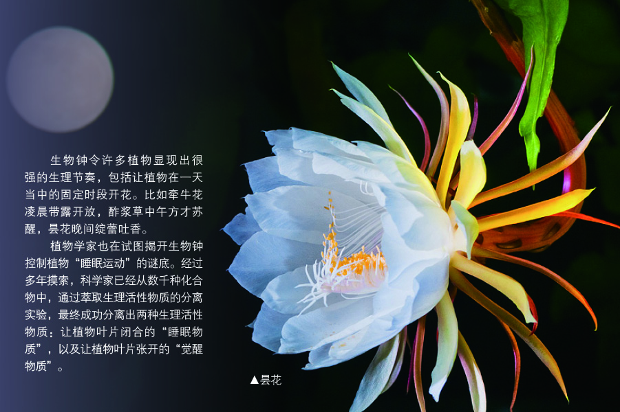 太阳城娱乐