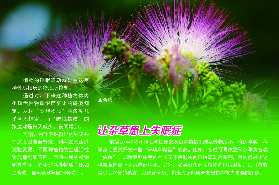 太阳城娱乐