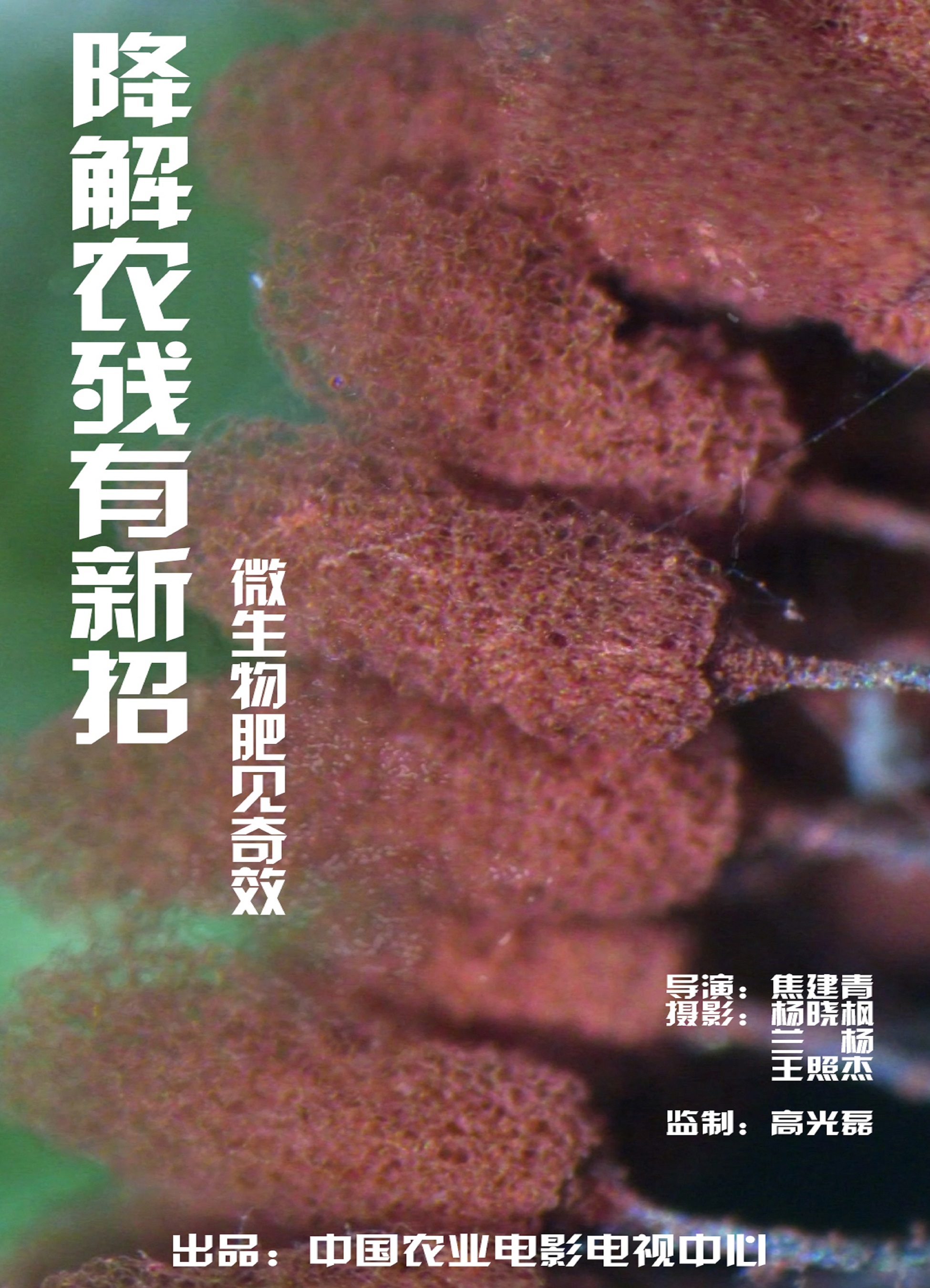太阳城娱乐
