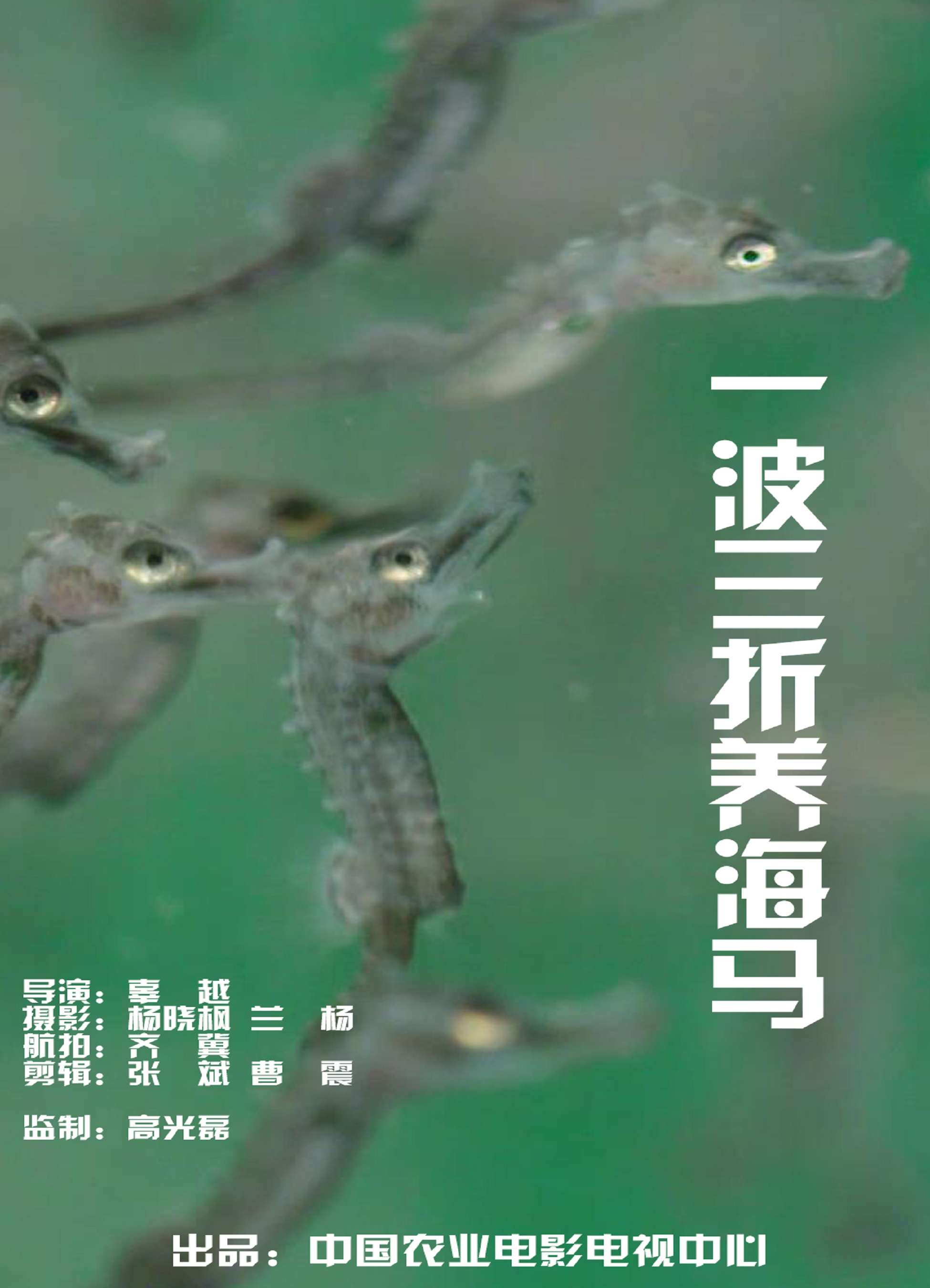 太阳城娱乐