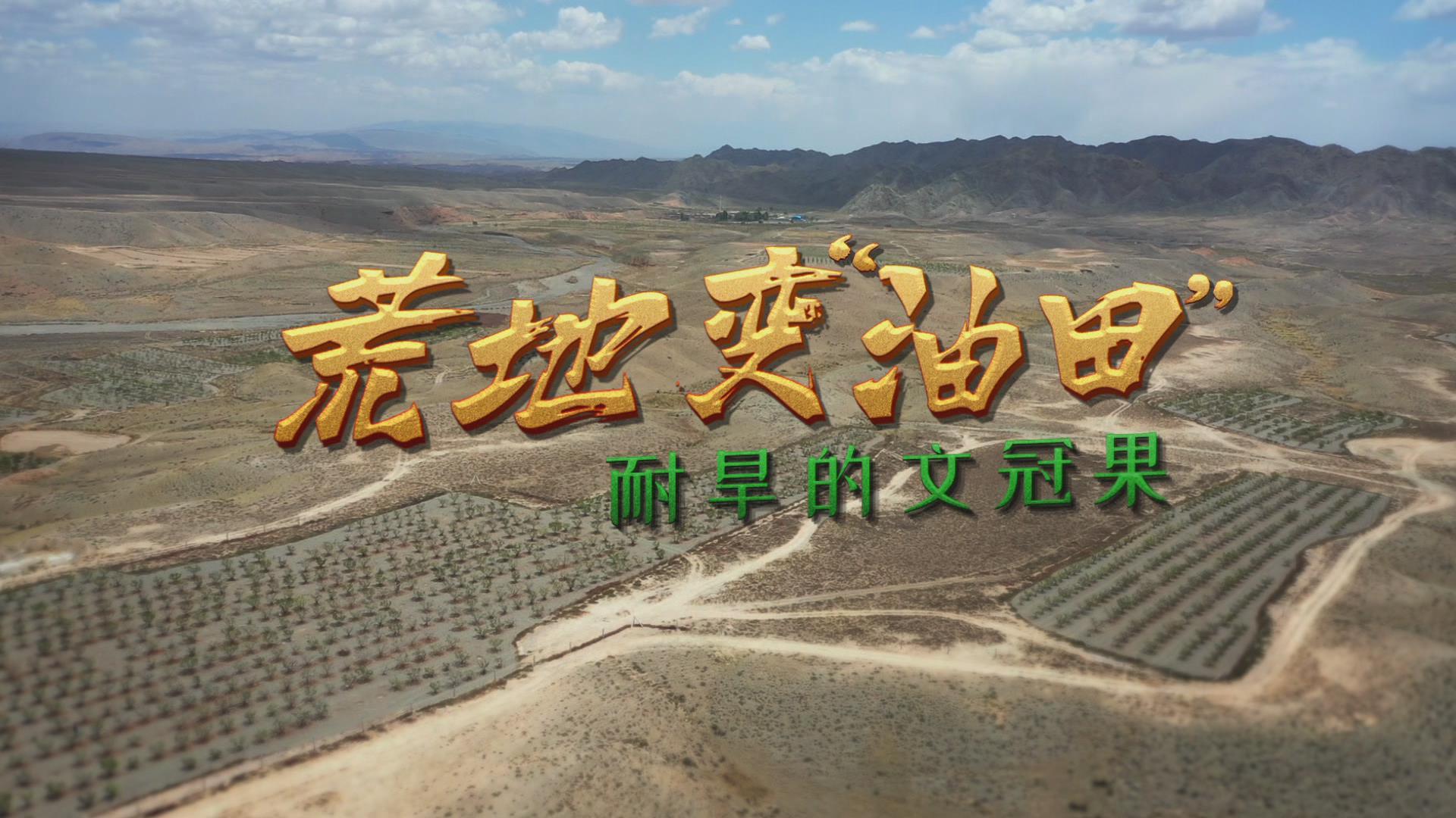 太阳城娱乐