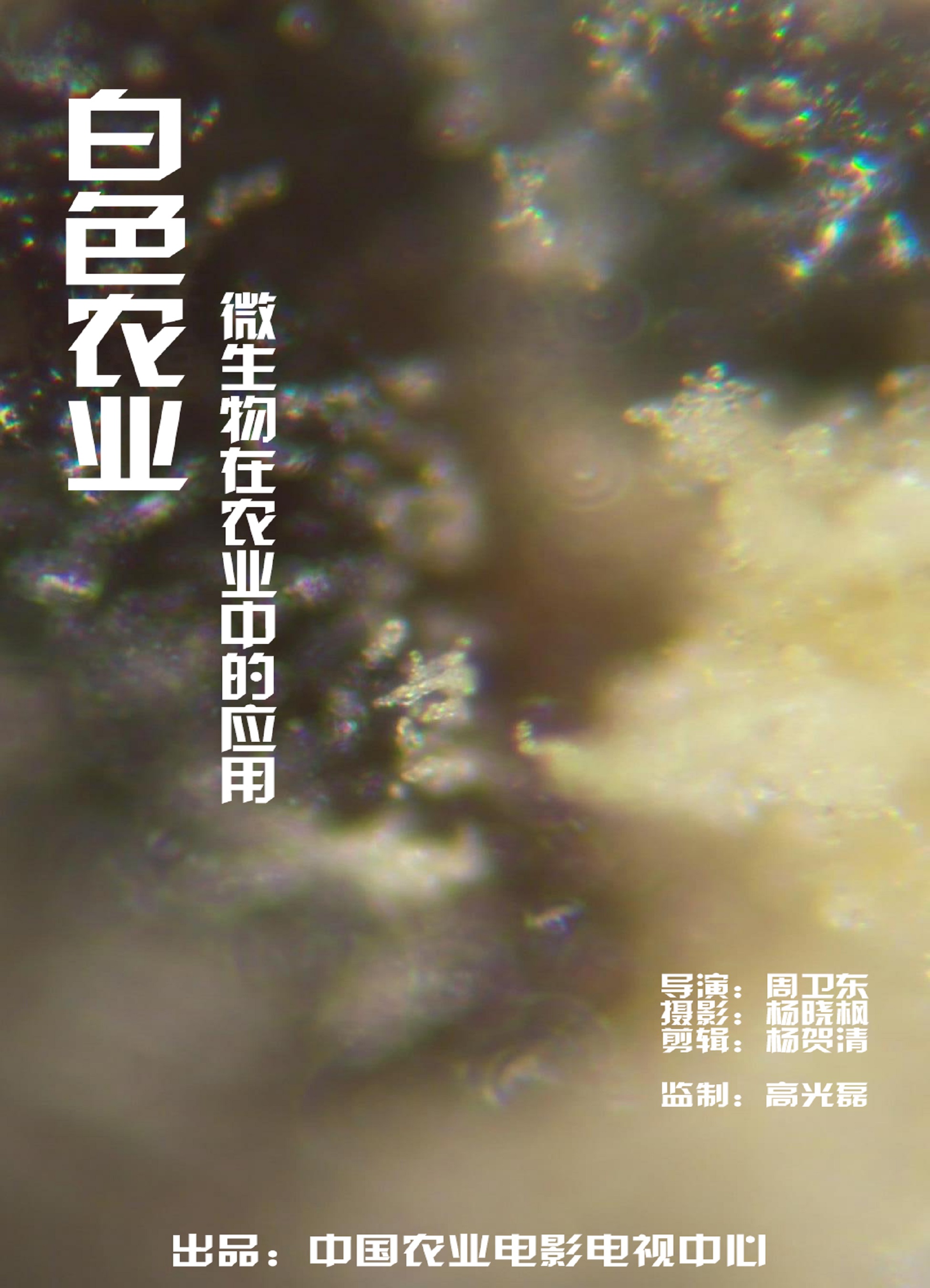 太阳城娱乐
