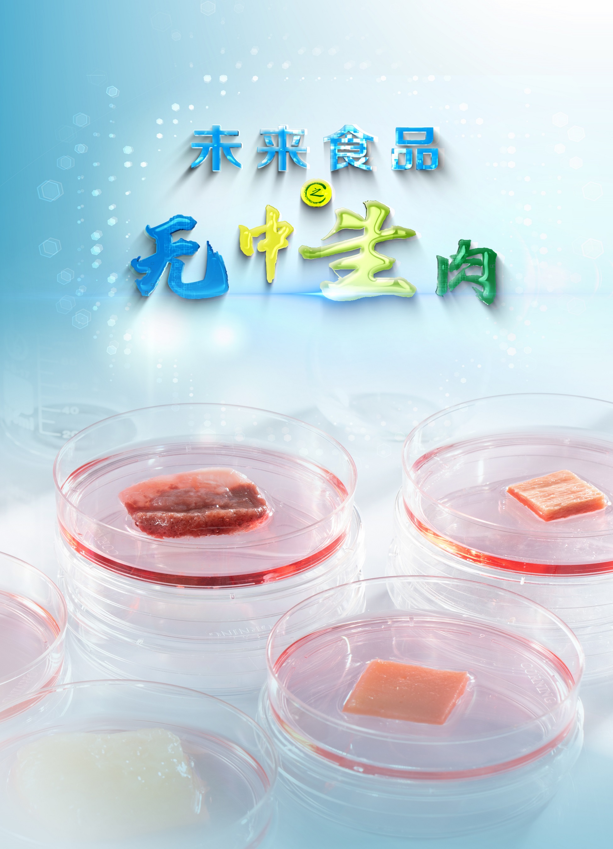 太阳城娱乐
