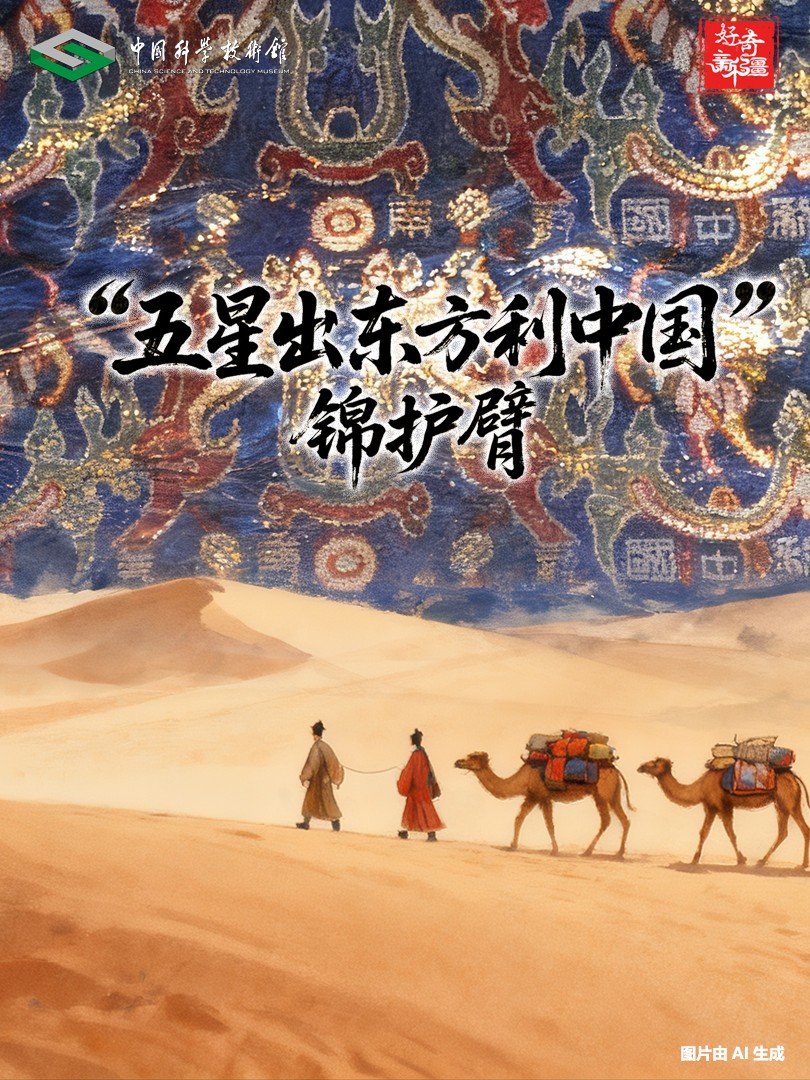 太阳城娱乐
