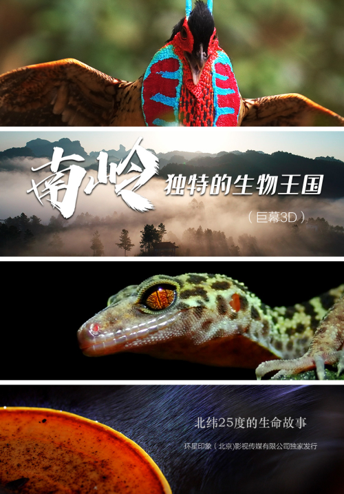 太阳城娱乐