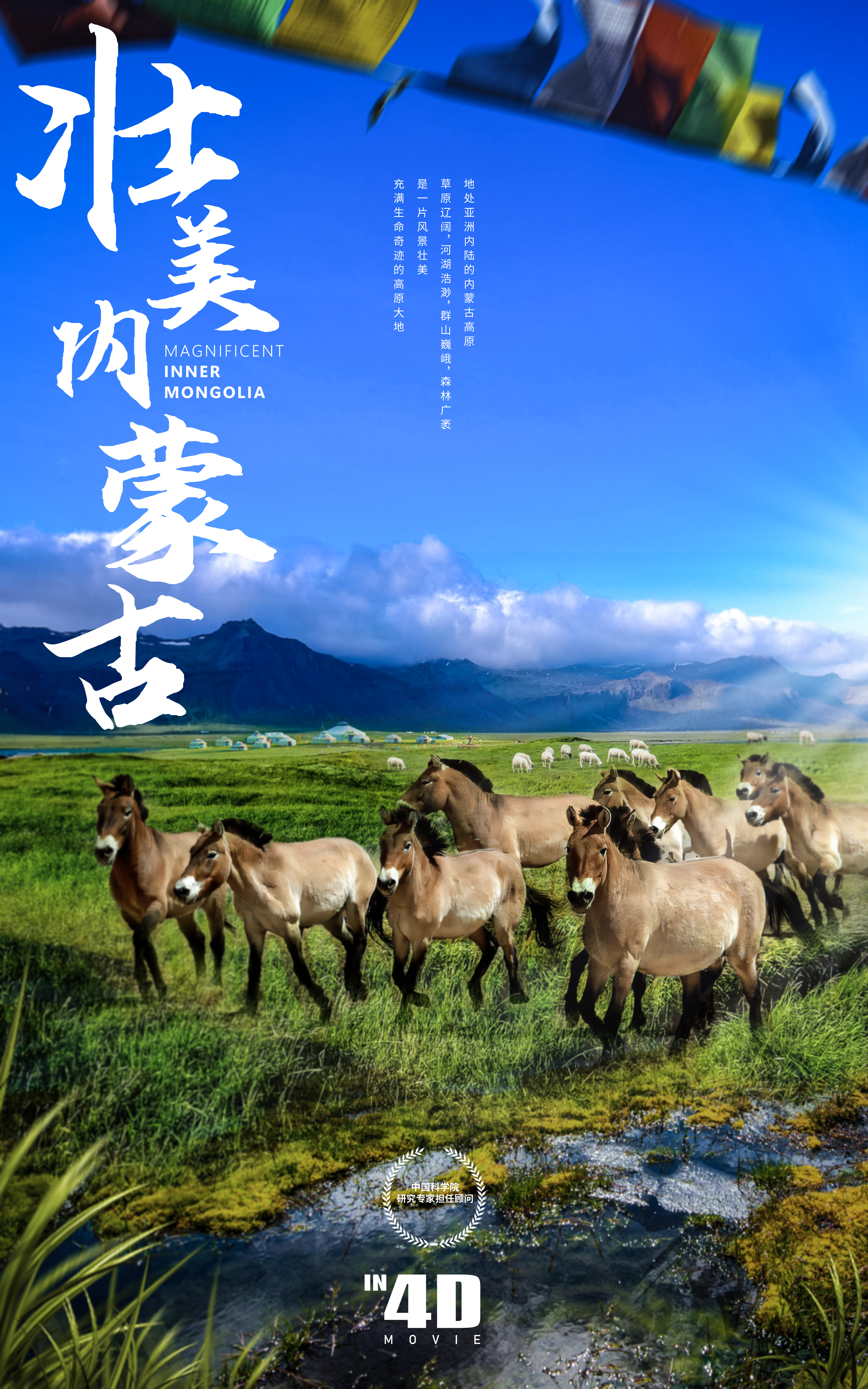 太阳城娱乐