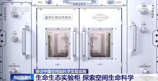 太阳城娱乐