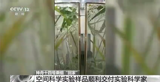 太阳城娱乐