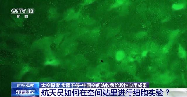 太阳城娱乐