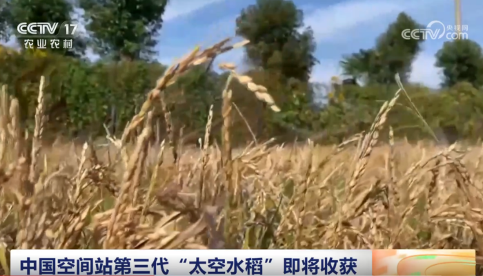 太阳城娱乐