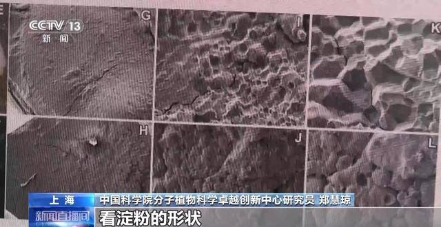 太阳城娱乐
