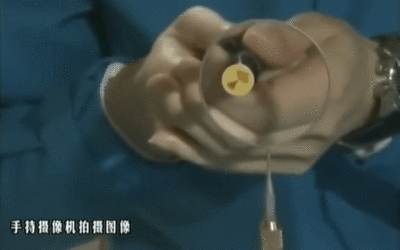 太阳城娱乐