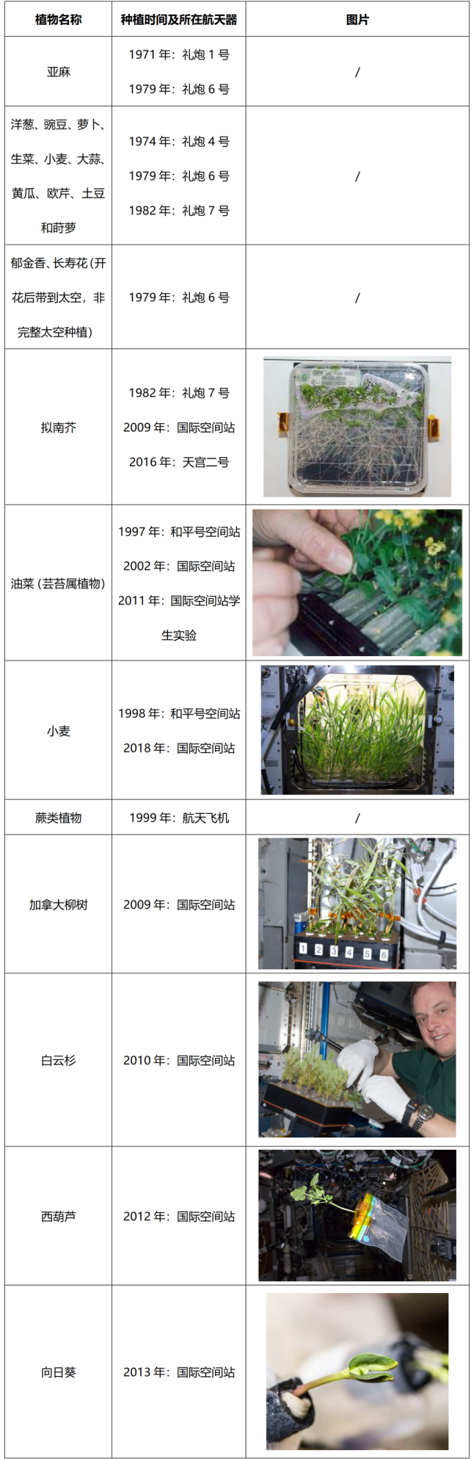 太阳城娱乐