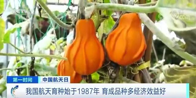 太阳城娱乐