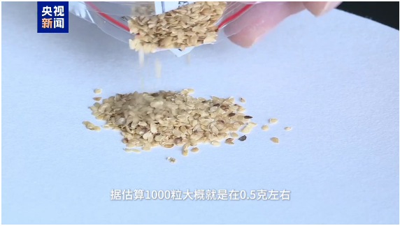 太阳城娱乐