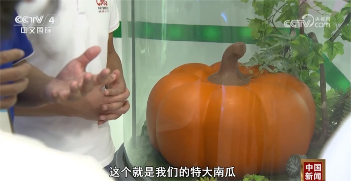 太阳城娱乐