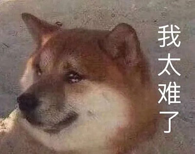 过敏性鼻炎;鼻炎;季节性过敏;春季;花粉过敏 过敏性鼻炎;鼻炎;季节性过敏;春季;花粉过敏