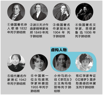 结核病;肺结核;健康;白色瘟疫 结核病;肺结核;健康;白色瘟疫