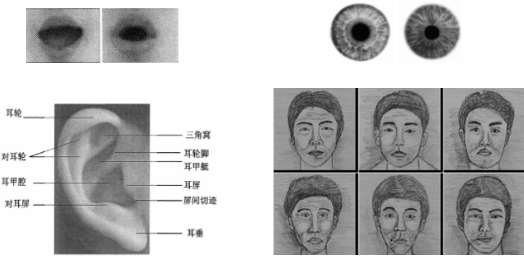 人脸识别;AI;人工智能;刷脸解锁