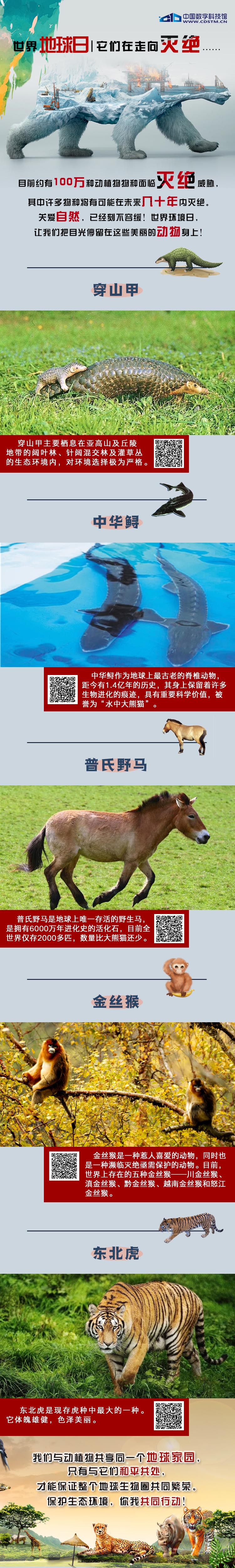 太阳城娱乐