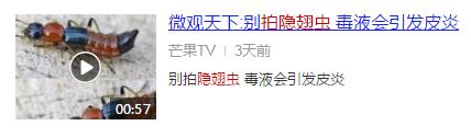 太阳城娱乐