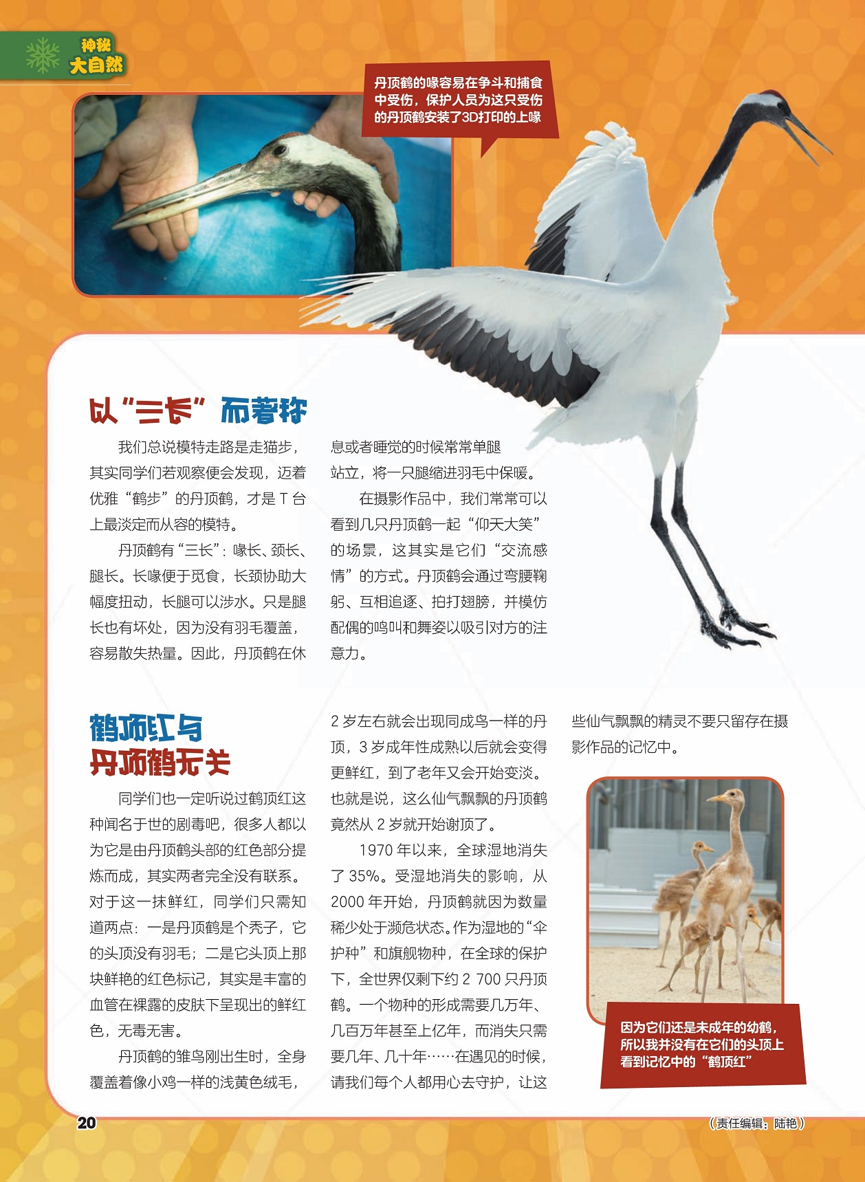 太阳城娱乐