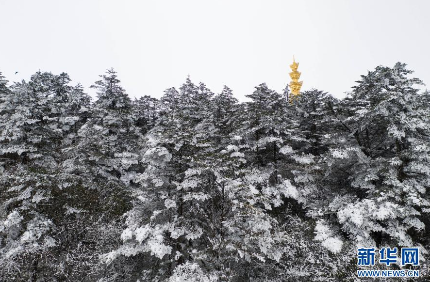 寒潮天气,降温,防寒知识 寒潮天气;知识点