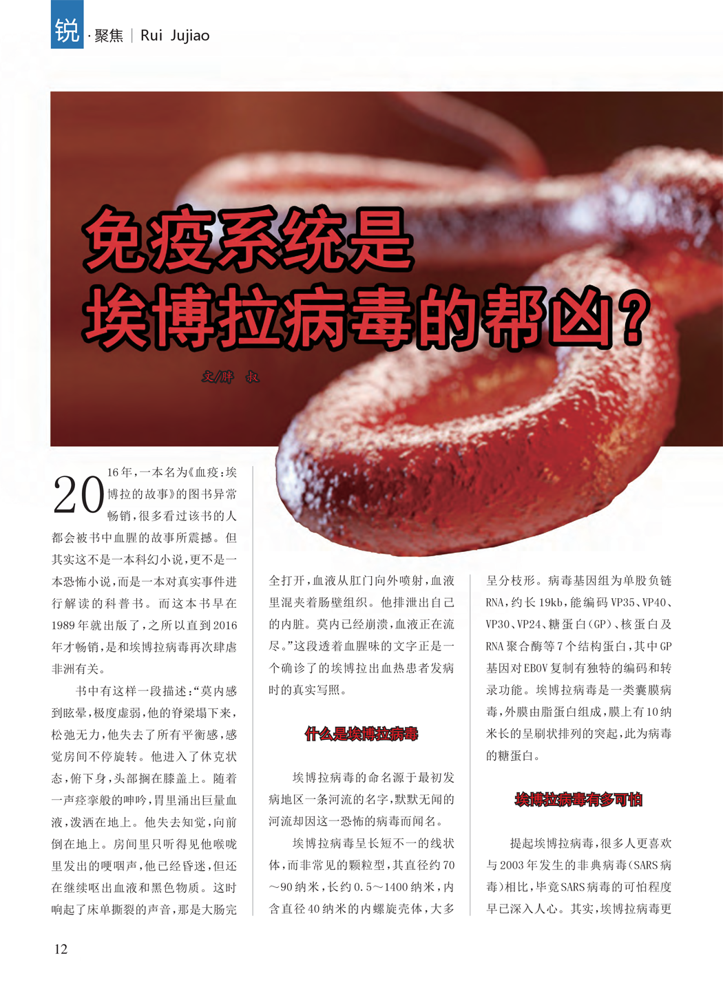 免疫系统,埃博拉,埃博拉病毒 免疫系统,埃博拉,埃博拉病毒