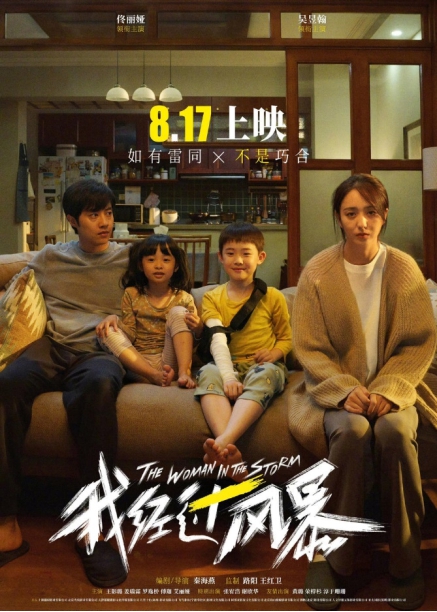 《我经过风暴》海报 《我经过风暴》海报