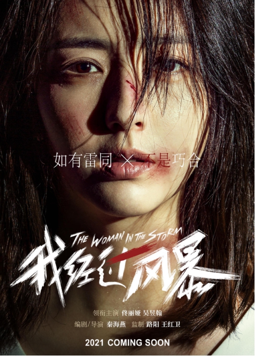 《我经过风暴》海报 《我经过风暴》海报