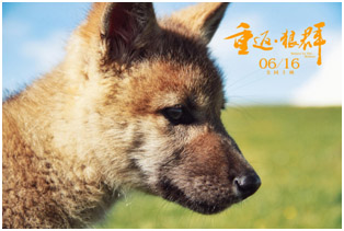 太阳城娱乐