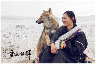 太阳城娱乐