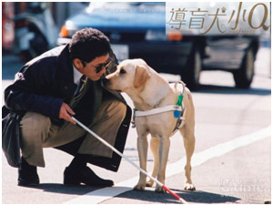 太阳城娱乐