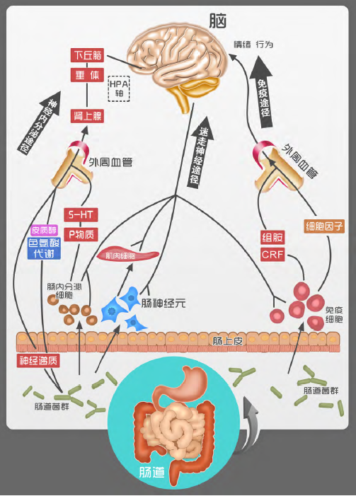 太阳城娱乐