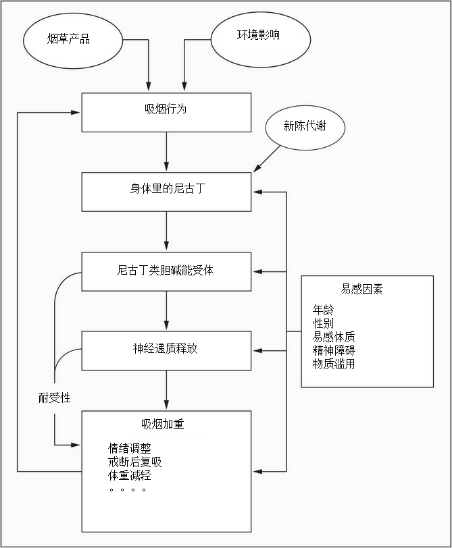 太阳城娱乐